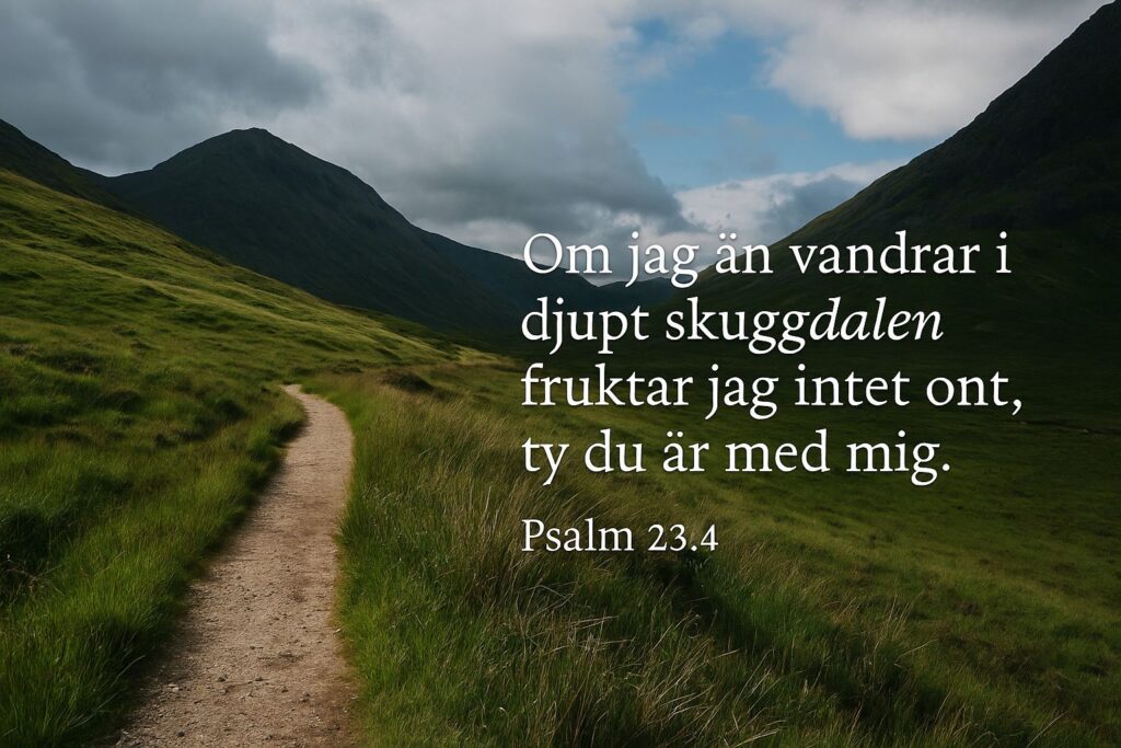 En dalgång som illusterar Psalm 23 vers 4.